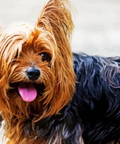 Yorkshire Terrier Puppy paint by numbers
