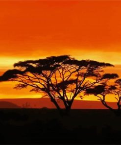 Acacia Tree At Sunset paint by numbers