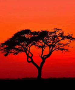Acacia Tree Silhouette At Sunset paint by numbers