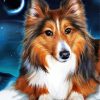 Adorable Sheltie Dog paint by numbers