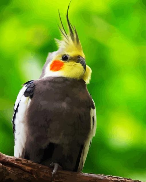 Cockatiel Bird On Branch paint by numbers