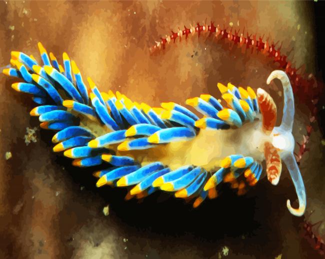Nudibranch Sea Slug paint by numbers