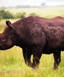 Aesthetic Rhinoceros paint by numbers
