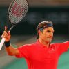 Aesthetic Roger Federer paint by numbers