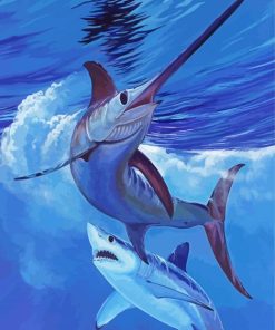 Sailfish And Shark paint by numbers