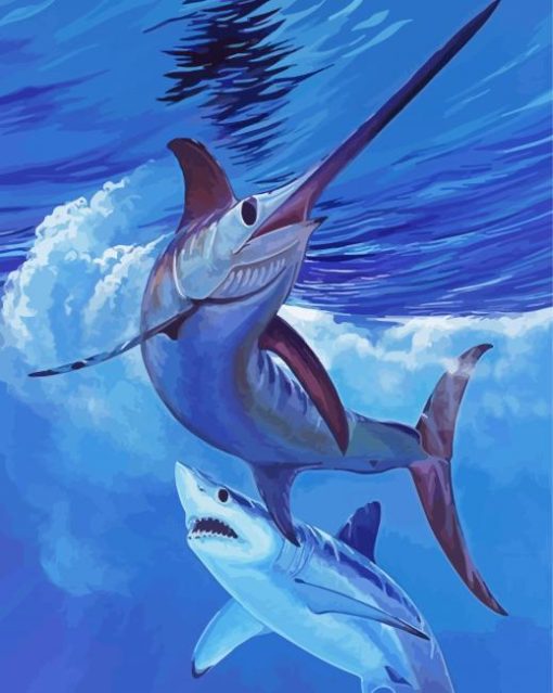 Sailfish And Shark paint by numbers