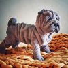 Cute Sharpei Puppy paint by numbers