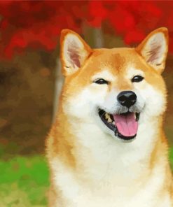 Adorable Shiba Inu paint by numbers
