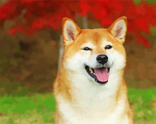 Adorable Shiba Inu paint by numbers