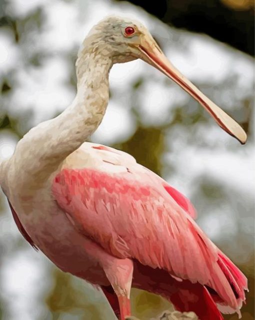 Beautiful Spoonbill paint by numbers
