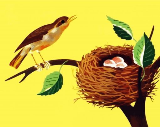 Bird And Nest Art paint by numbers