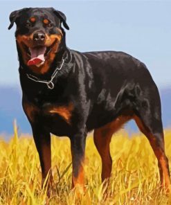 Aesthetic Rottweiler Dog paint by numbers