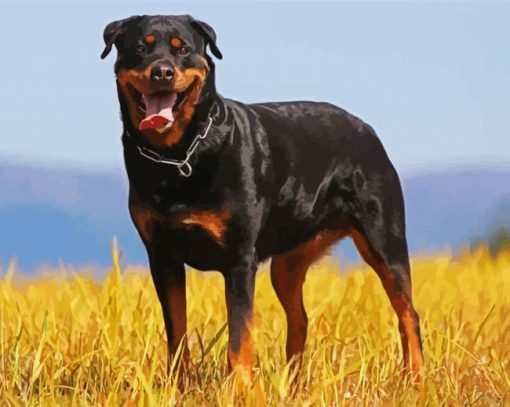 Aesthetic Rottweiler Dog paint by numbers