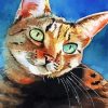 Aesthetic Cat Art paint by numbers
