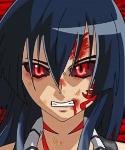 Angry Akame Character paint by numbers