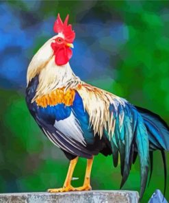 Aesthetic Bird Rooster paint by numbers