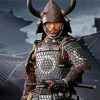 Japanese Samurai paint by numbers
