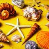 Aesthetic Seashell paint by numbers