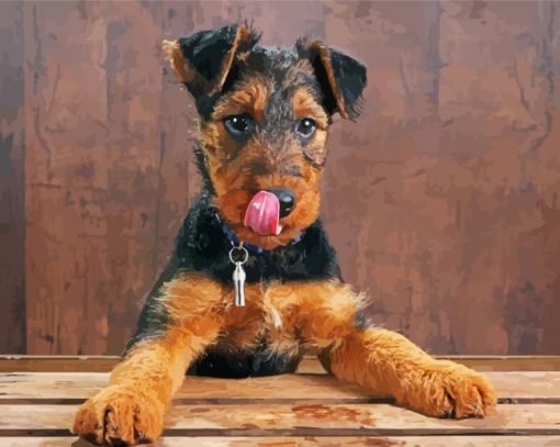 Adorable Airedale Terrier paint by numbers