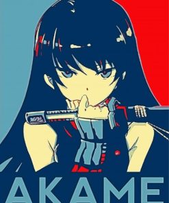 Akame Illustration paint by numbers