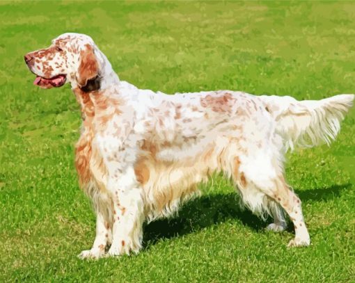 Adorable English Setter paint by numbers