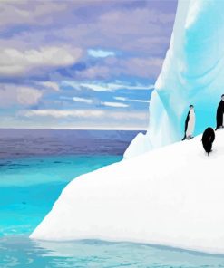 Antarctica Iceberg Penguins paint by numbers