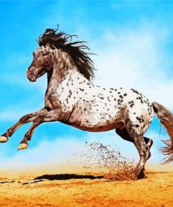 Fantastic Appaloosa Horse paint by numbers