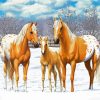 Adorable Appaloosa Family paint by numbers