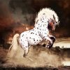 Appaloosa Horse Art paint by numbers