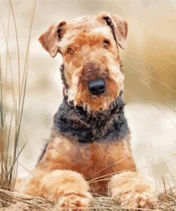 Adorable Airedale Terrier paint by numbers