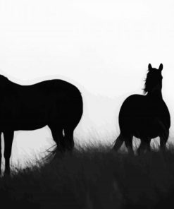 Brumbies Silhouettes paint by numbers