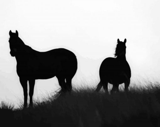 Brumbies Silhouettes paint by numbers