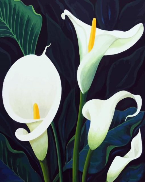White Calla Lilies paint by numbers