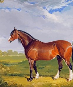 Clydesdale Stallion Horse paint by numbers