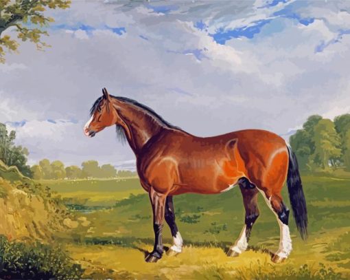 Clydesdale Stallion Horse paint by numbers