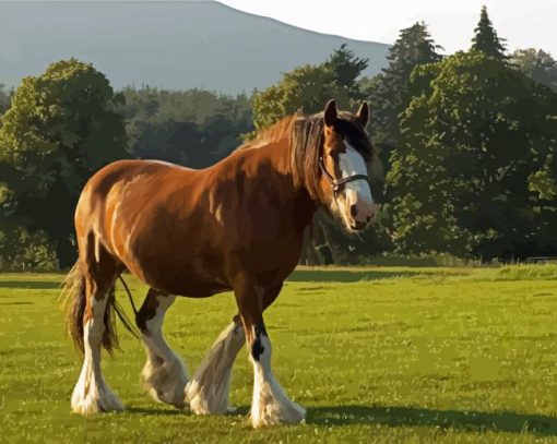 Clydesdale In Field paint by numbers