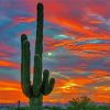 Desert Cactus At Sunset paint by numbers