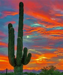 Desert Cactus At Sunset paint by numbers