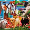 Dogs Animals Picnic paint by numbers