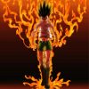 Gon Freecss Character Art paint byb numbers