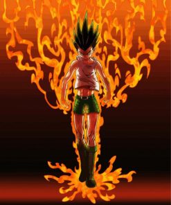Gon Freecss Character Art paint byb numbers