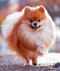 Happy Cute Pomeranian paint by numbers