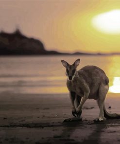 Kangaroo In Queensland Beach paint by numbers