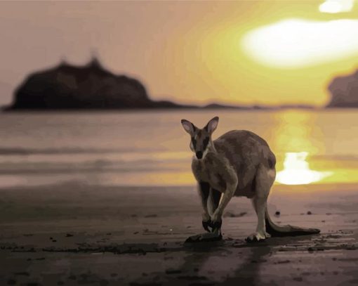 Kangaroo In Queensland Beach paint by numbers