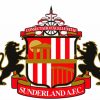 Sunderland Association Logo paint by numbers