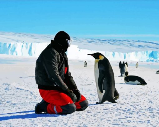 Man And Penguins In Antarctica paint byh numbers