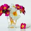 Primrose Flowers In Glass paint by numbers