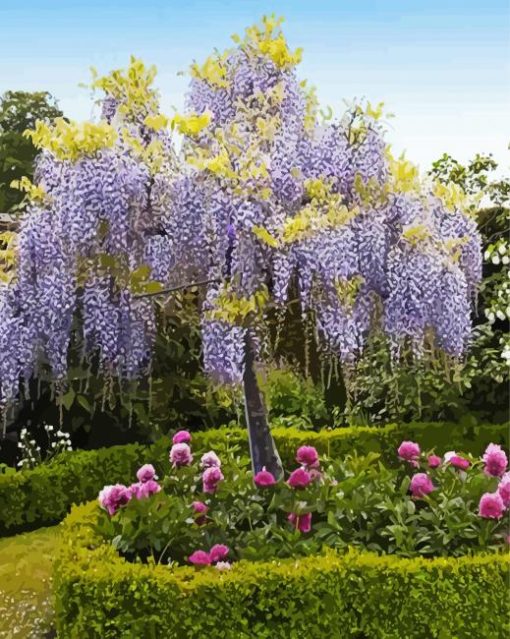 Purple Wisteria Tree paint by numbers