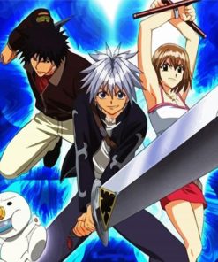 Rave Master Anime paint by numbers