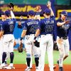 Tampa Bay Rays paint by numbers